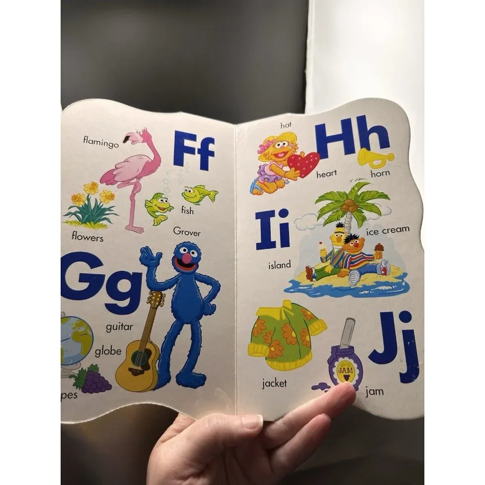 Sesame Street Murray's First Book of Words Big Bird’s First Book‎ Of Letters Lot